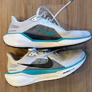 Nike Pegasus 41 Air Zoom.